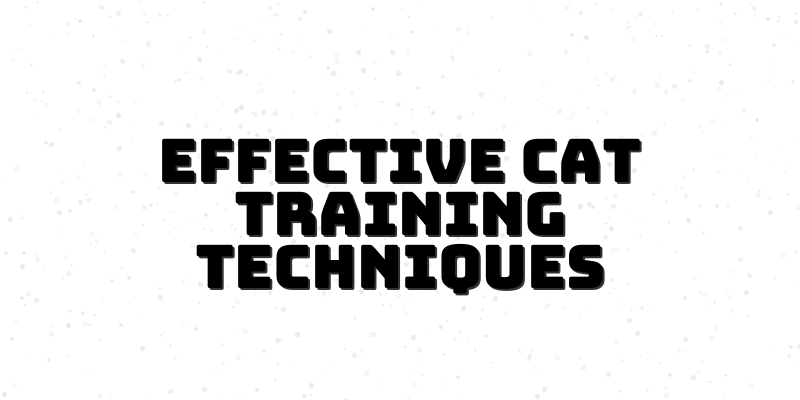 Cat Training Mastery Course